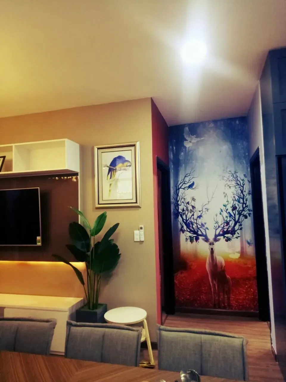 Phòng khách - Căn hộ Tecco Thủ Đức - Phong cách Color Block | Space T
