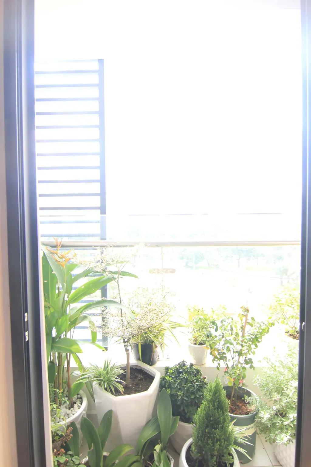 Lô gia - Căn hộ Centana Quận 2 - Phong cách Modern | Space T