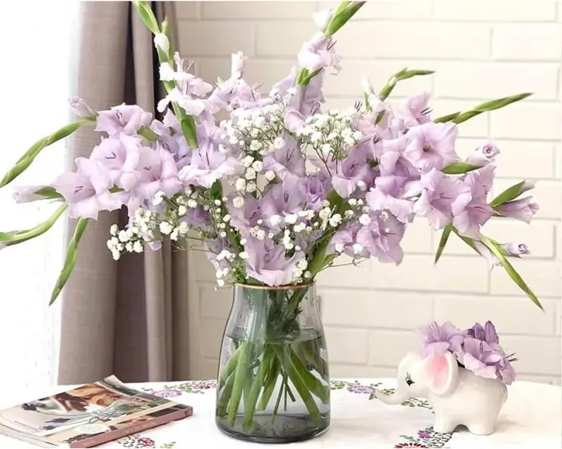 Hoa lay ơn: Đặc điểm, ý nghĩa và 2 cách cắm hoa đẹp, đơn giản, tươi lâu