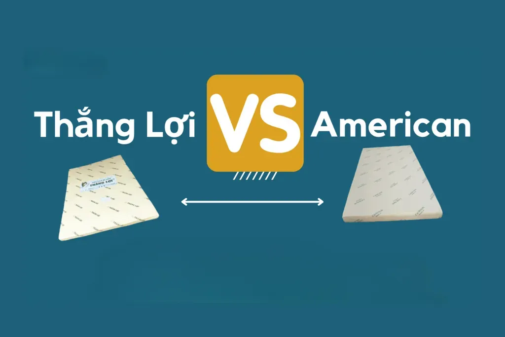 So sánh nệm cao su non Thắng Lợi và American chi tiết, chính xác