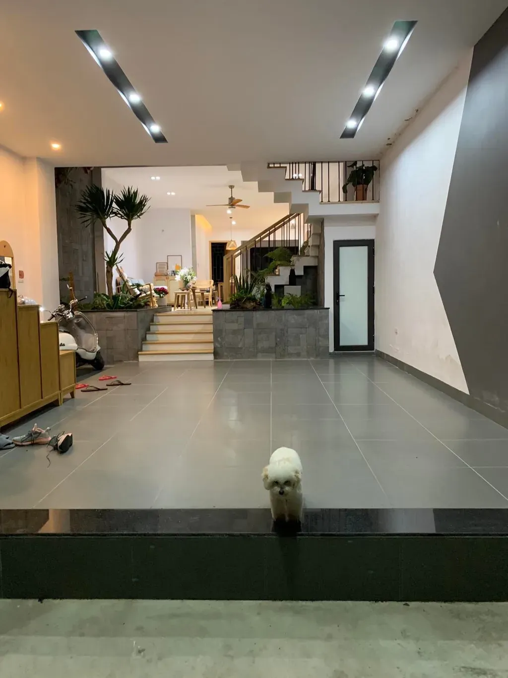 Lối vào - Nhà thoáng đãng, tươi mát nhờ trang trí nội thất với gỗ và cây xanh | Space T