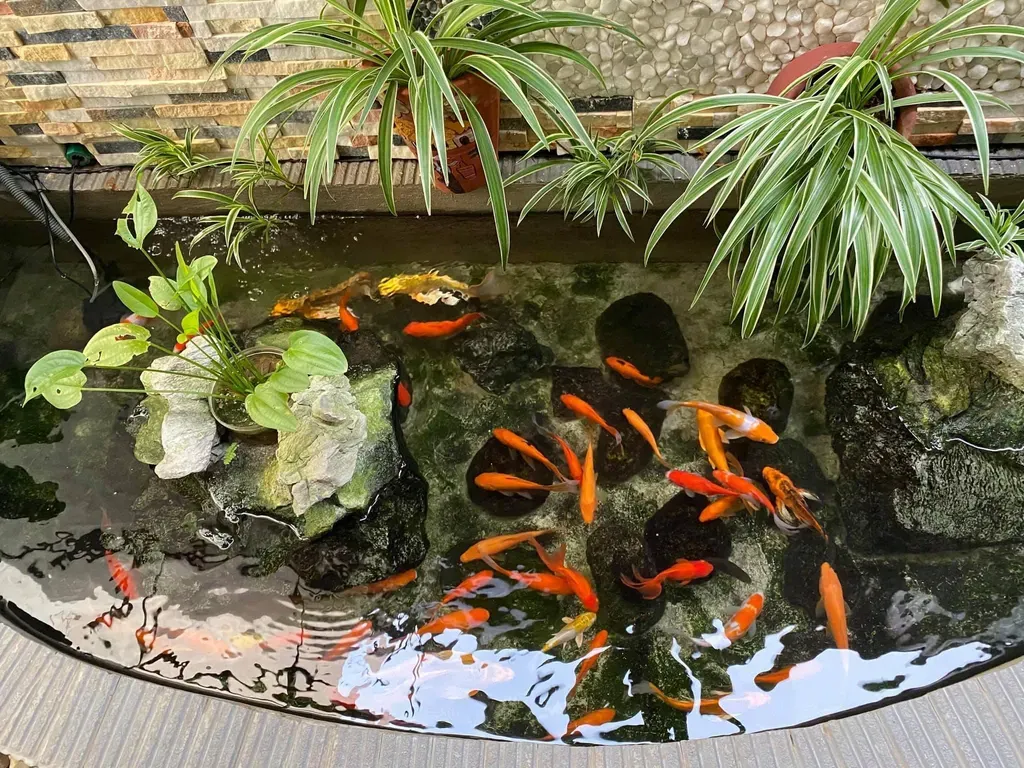 Ngoại cảnh - Ngôi nhà như giữa rừng nhiệt đới dành cho tín đồ yêu thiên nhiên | Space T