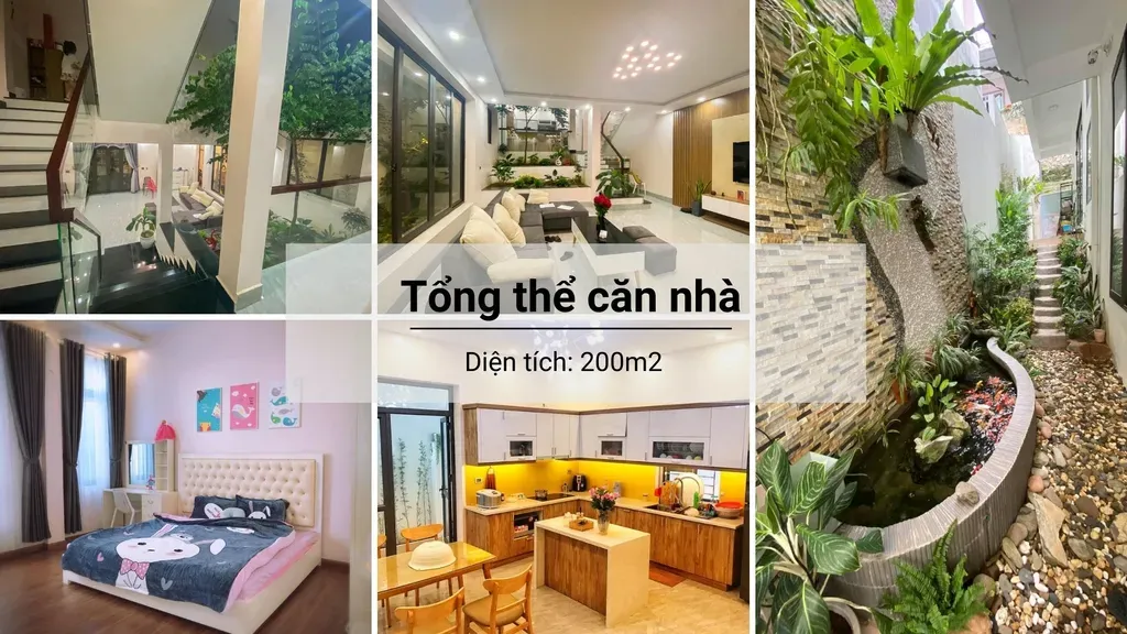 Ngôi nhà như giữa rừng nhiệt đới dành cho tín đồ yêu thiên nhiên | Space T