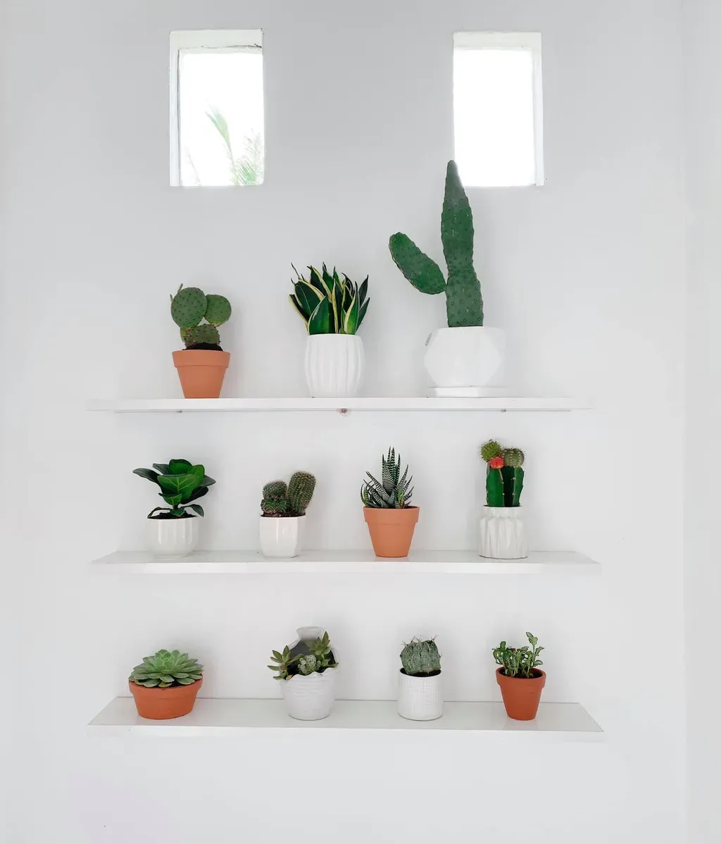Lối vào - Mình đã đạt mục tiêu thứ 3 trong đời: xây một ngôi nhà nhỏ xinh ở quê nhà | Space T