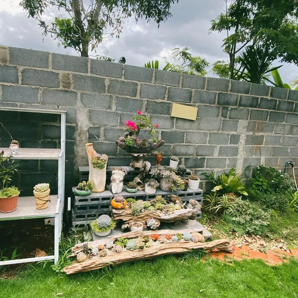 Sân vườn - Bỏ phố về quê xây nhà vườn thiết kế hiện đại, tối giản như “biệt thự mini” | Space T