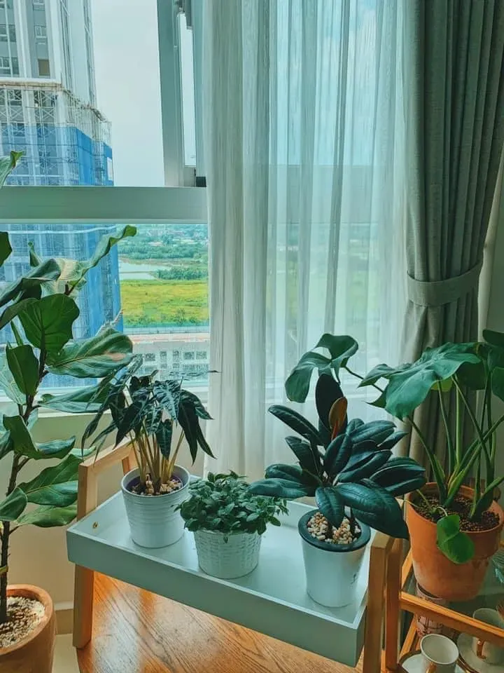 Lô gia - Căn hộ của cô gái độc thân - thành quả 8 năm xa quê hương | Space T
