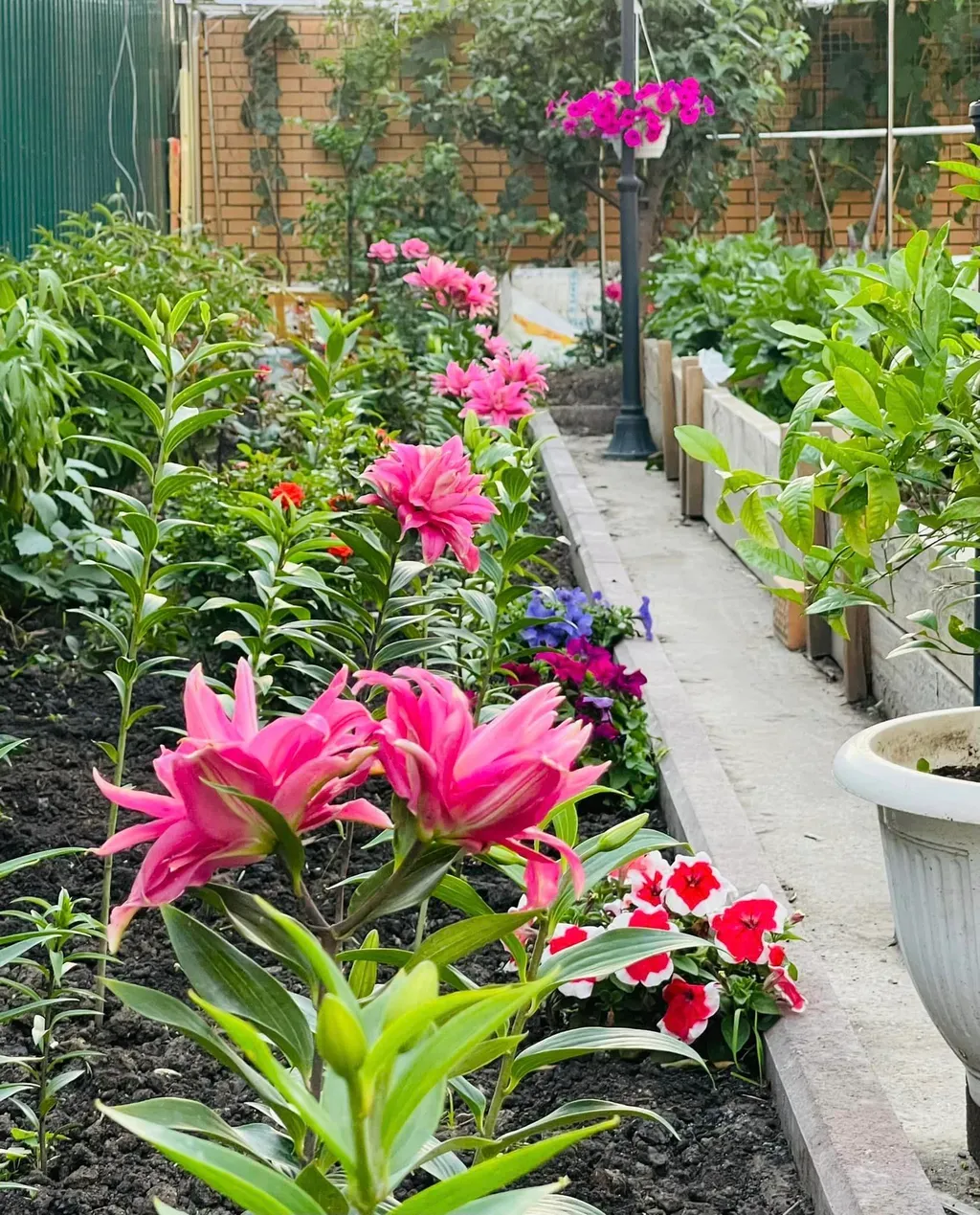 Sân vườn - Tổ ấm ở Nga của vợ chồng mình: hiện đại, đơn giản giao thoa Á- Âu | Space T