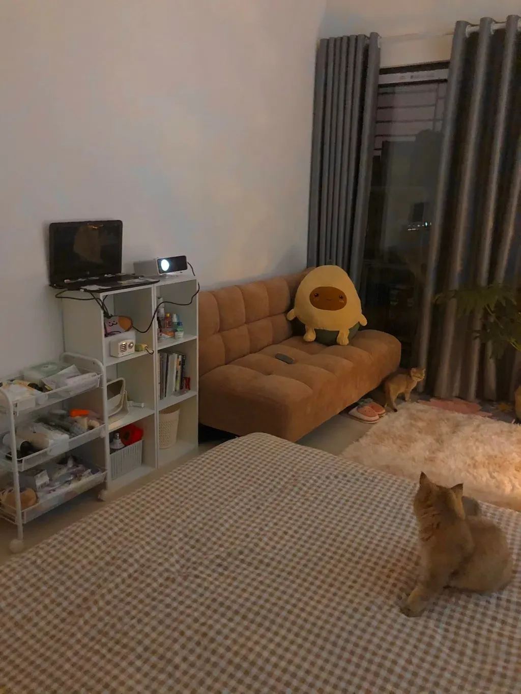 Phòng ngủ - Decor phòng trọ 21m2 đẹp lung linh chỉ vài triệu đồng | Space T