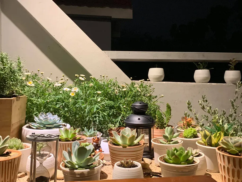 Sân vườn - 2,5 triệu đồng và 24 giờ để decor phòng “chill chill”  | Space T