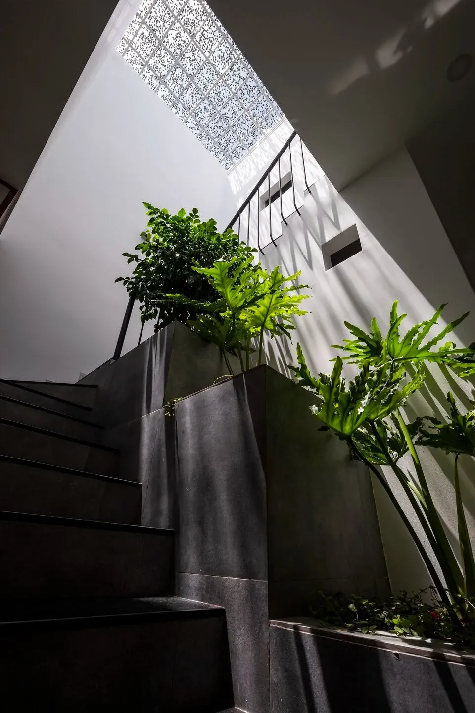 Cầu thang - “J House” tĩnh lặng và an yên tách biệt phố đông của nữ giáo viên độc thân | Space T