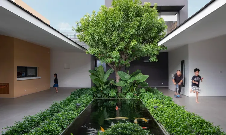 Ý tưởng làm vườn xanh giữa nhà kết nối con người và thiên nhiên | Space T