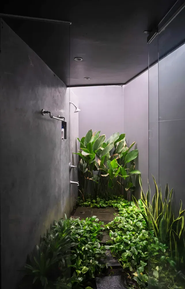 Phòng tắm - Ý tưởng làm vườn xanh giữa nhà kết nối con người và thiên nhiên  | Space T