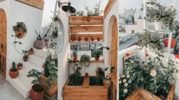 Lô gia, Sân thượng - Tự tay cải tạo nhà phố cũ nát với phong cách Bắc Âu kết hợp Bohemian  