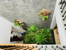 Nhà thoáng đãng, tươi mát nhờ trang trí nội thất với gỗ và cây xanh