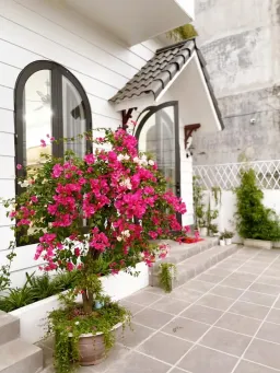 "TWINS HOUSE" tại Hưng Yên mình xây tặng bố mẹ