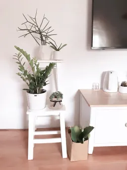 Phòng khách - Căn phòng kỷ niệm từng là thế giới riêng tự tay mình trang trí 