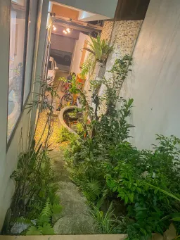 Sân vườn - Ngôi nhà như giữa rừng nhiệt đới dành cho tín đồ yêu thiên nhiên 
