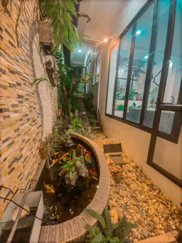 Sân vườn - Ngôi nhà như giữa rừng nhiệt đới dành cho tín đồ yêu thiên nhiên 