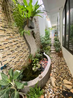 Ngôi nhà như giữa rừng nhiệt đới dành cho tín đồ yêu thiên nhiên