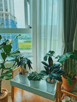 Lô gia - Căn hộ của cô gái độc thân - thành quả 8 năm xa quê hương 
