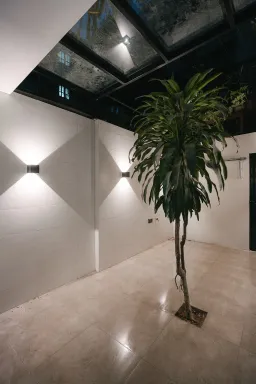 Sân vườn - Cô giáo tiếng Nhật cải tạo nhà tập thể cũ an yên và thoáng mát 
