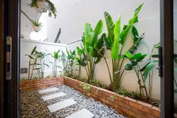 Sân vườn - Homestay vợ chồng mình làm khi “bỏ thủ đô về biển” 