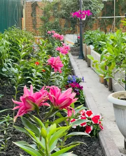 Sân vườn - Tổ ấm ở Nga của vợ chồng mình: hiện đại, đơn giản giao thoa Á- Âu 