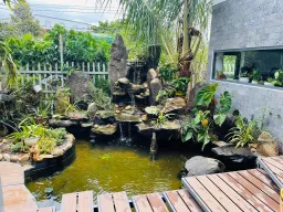 Sân vườn - Mời mọi người thăm nhà bố mẹ mình “U54” tại Đắk Lắk 