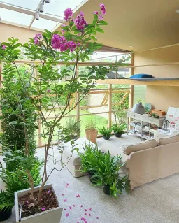 Sân vườn - Căn nhà nhỏ kiểu Nhật làm nội thất bằng gỗ sồi tự nhiên  