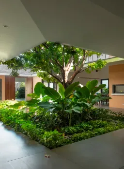 Ý tưởng làm vườn xanh giữa nhà kết nối con người và thiên nhiên