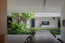 Phòng ăn - Ý tưởng làm vườn xanh giữa nhà kết nối con người và thiên nhiên 