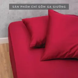 Ga Giường Bo Thun Gòn Bedding Lụa Tencel Cao Cấp Màu Trơn 1m6x2m (Không Xù Lông, Không Trơn Trượt)