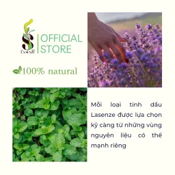 Tinh Dầu Nguyên Chất LA SENZE 10ML