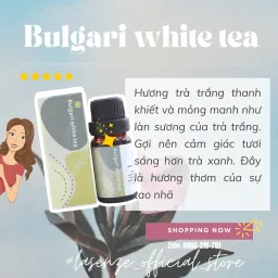 Tinh Dầu Phối Hương Mix Blend 10ml