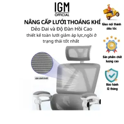 Ghế Công Thái Học IGM CTH230 Cao Cấp, Chống Đau Mỏi Lưng, Đệm Lưới Êm Ái