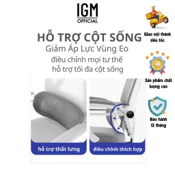 Ghế Công Thái Học IGM CTH230 Cao Cấp, Chống Đau Mỏi Lưng, Đệm Lưới Êm Ái