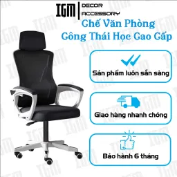 Ghế Văn Phòng Công Thái Học GVP - 220 Cao Cấp