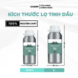 Tinh Dầu Bạc Hà iCHARM