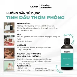 Tinh Dầu Nước Hoa Sandalwood & Cashmere Wood - iCHARM