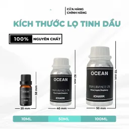 Tinh Dầu Thơm Phòng Ocean - iCHARM