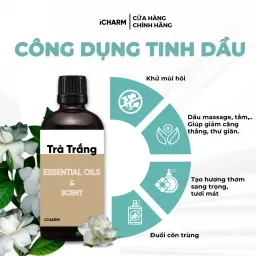 Tinh Dầu Trà Trắng iCHARM