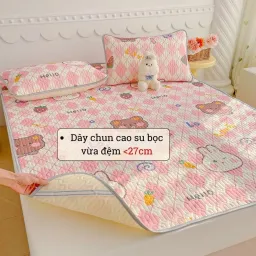 Chiếu Điều Hòa Cao Su 4D Tencel Latex Nhập Khẩu, Chiếu Cao Su Non Tản Nhiệt Thoáng Khí - EmmiBedding - CDH 2D