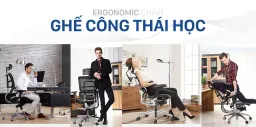 Ghế Công Thái Học Spider 11-HR