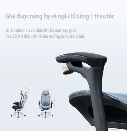 Ghế Công Thái Học Spider 12-HR