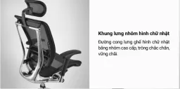 Ghế Công Thái Học Spider 16-HR