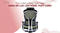 Ghế Công Thái Học Spider 4-HR