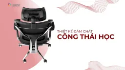 Ghế Công Thái Học Spider 4-HR