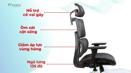 Ghế Công Thái Học Spider 7-HR