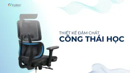 Ghế Công Thái Học Spider 7-HR