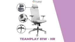 Ghế Công Thái Học Teamplay 81W-HR